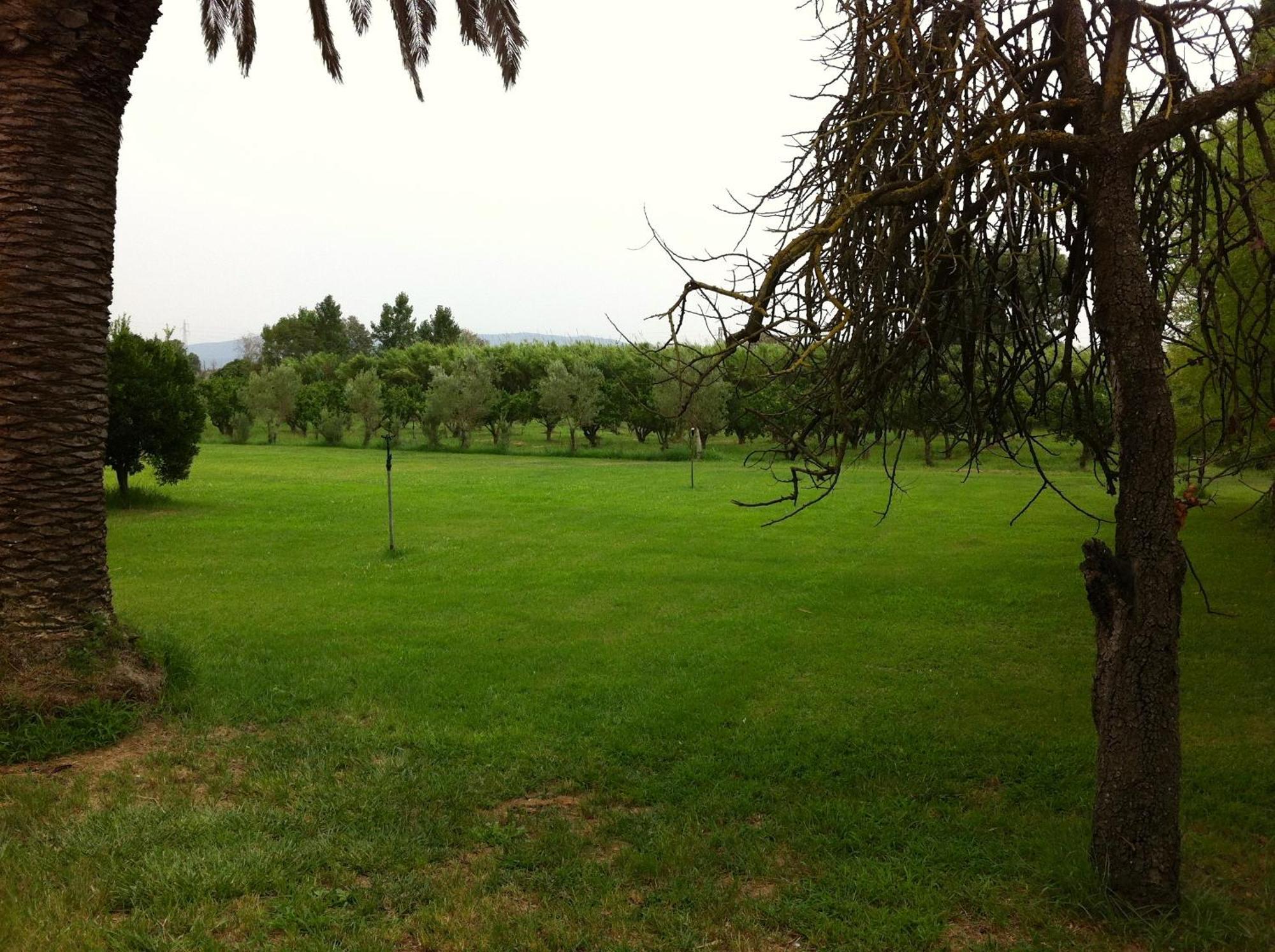 Agriturismo Il Giglio Oristano Exteriér fotografie