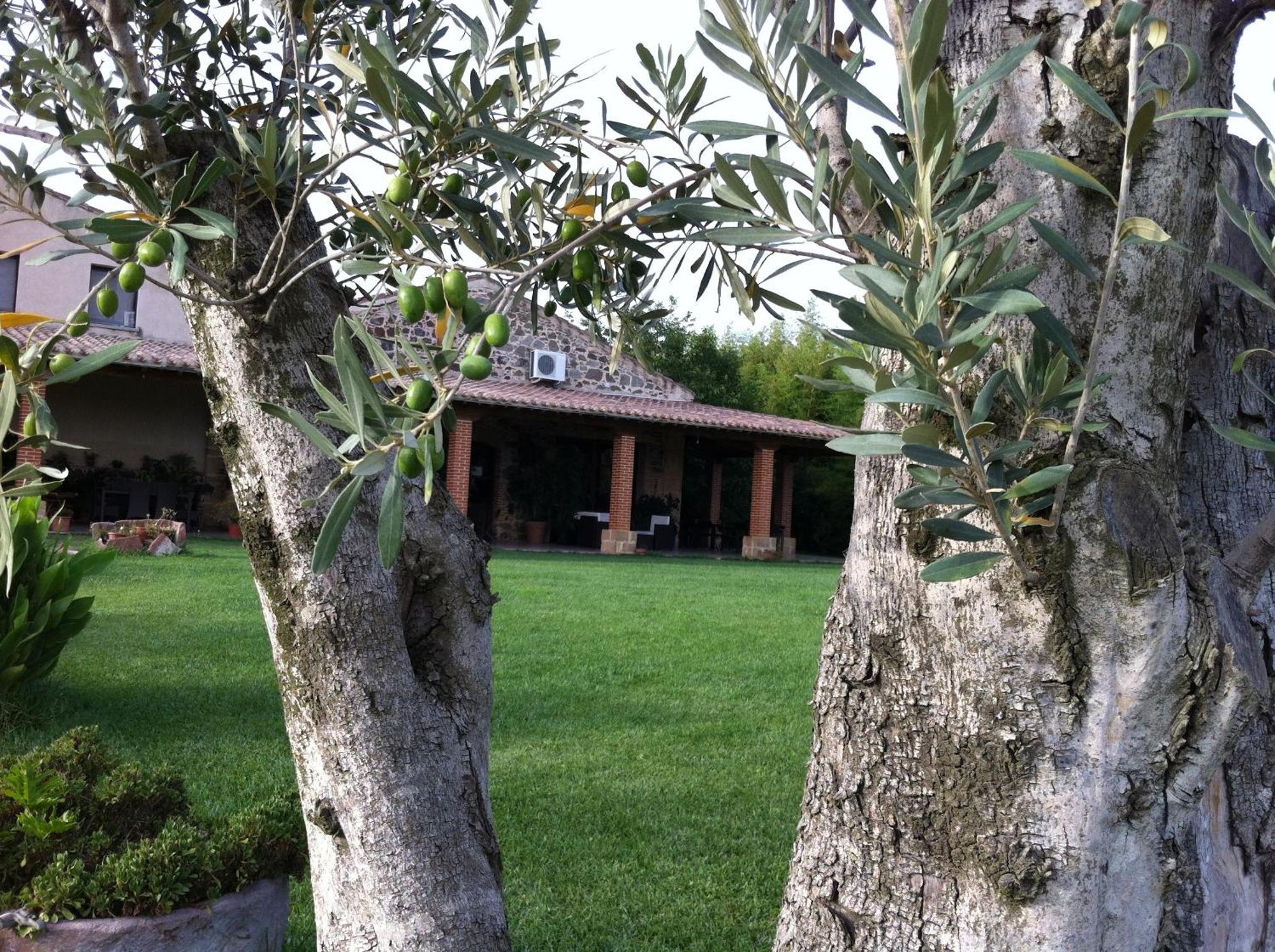 Agriturismo Il Giglio Oristano Exteriér fotografie