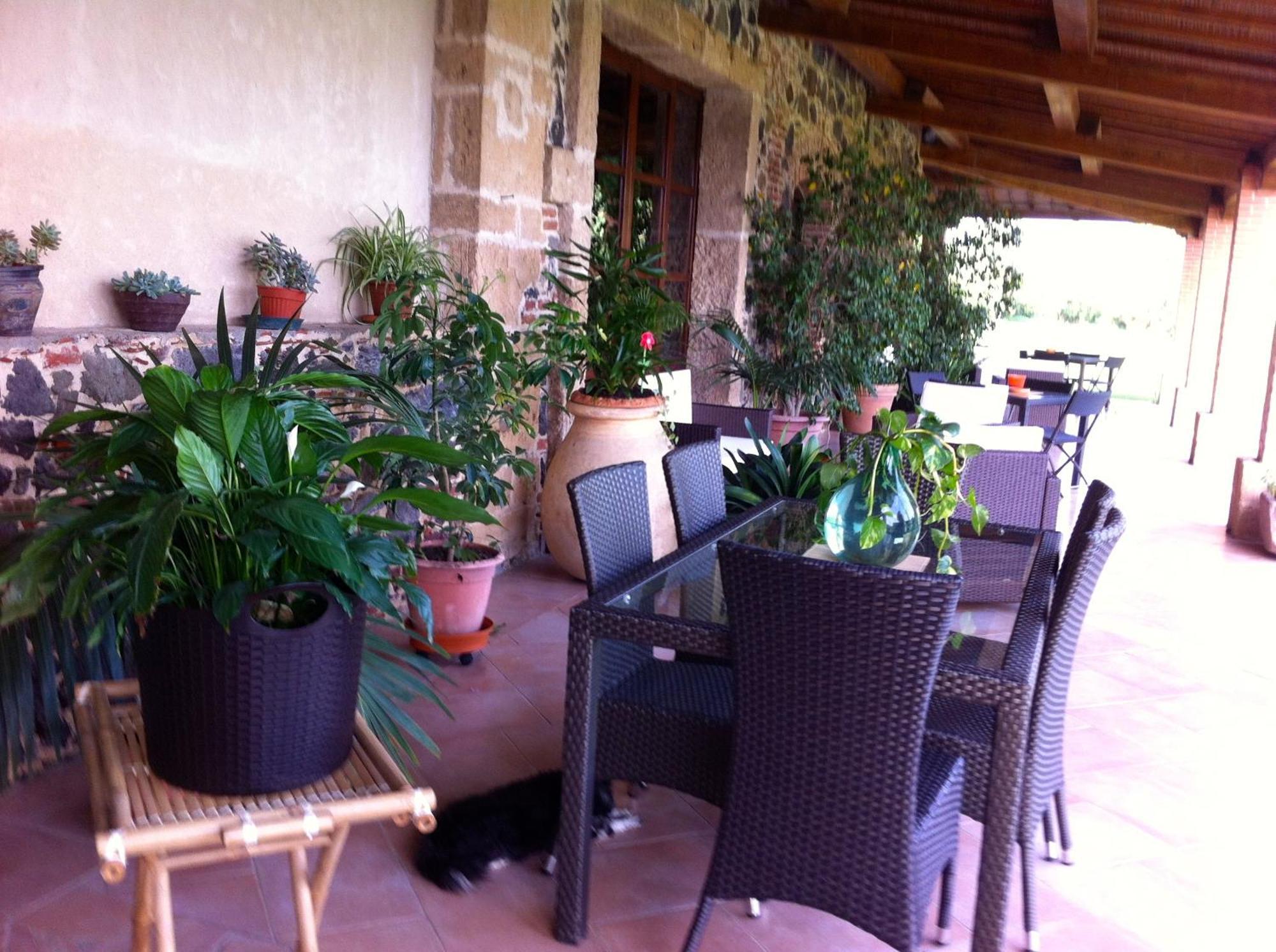 Agriturismo Il Giglio Oristano Exteriér fotografie